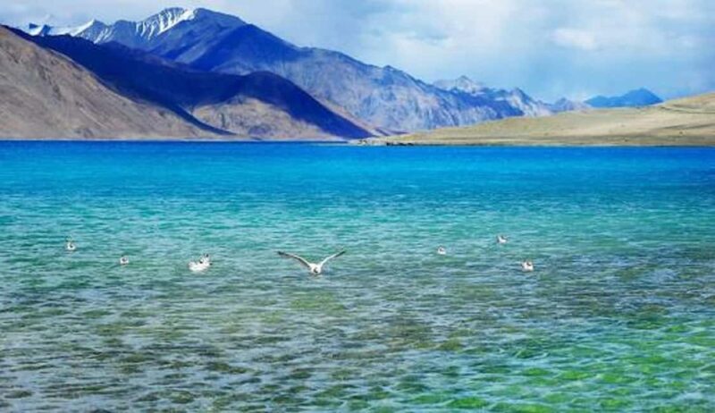 Overnight Pangong Tour From Leh With Thiksey & Shey Palace - An In-Depth Look at the Tour Experience