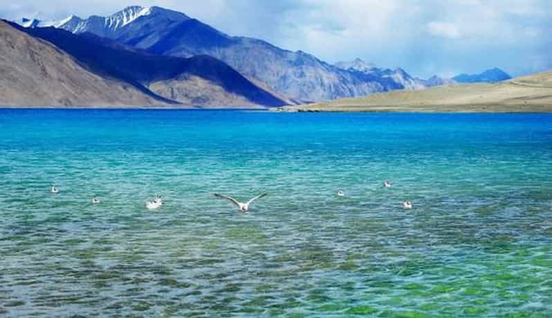 Overnight Pangong Tour From Leh With Thiksey & Shey Palace - The Sum Up