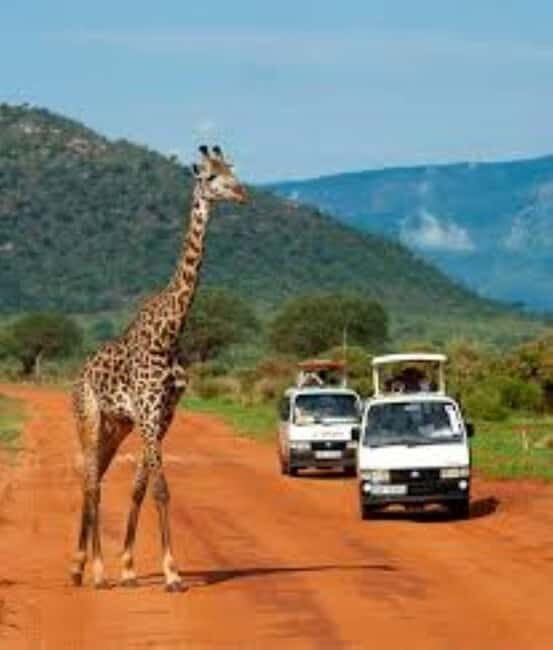 Overnight Private Safari to Severin Camp from Mombasa - An Introduction to the Experience