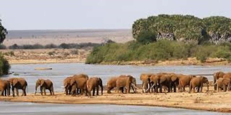 Overnight Private Safari to Severin Camp from Mombasa - Key Points