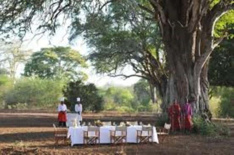 Overnight Private Safari to Severin Camp from Mombasa - Authentic Experiences and Traveler Insights