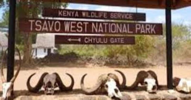 Overnight Private Safari to Severin Camp from Mombasa - Why Choose This Safari?