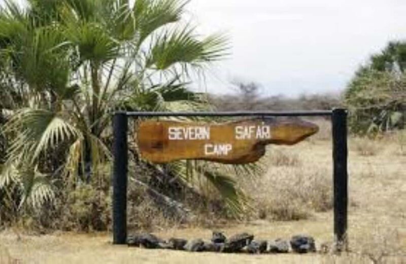 Overnight Private Safari to Severin Camp from Mombasa - Authentic Wildlife Encounters