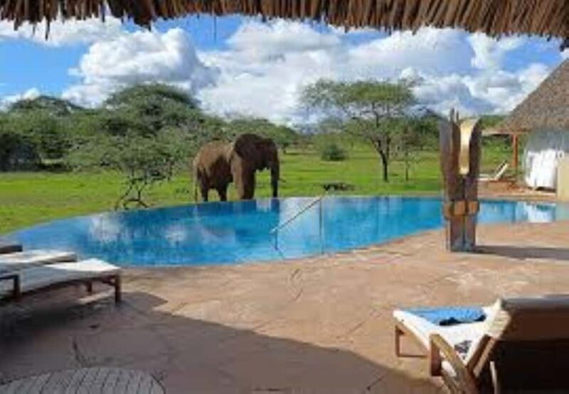 Overnight Private Safari to Severin Camp from Mombasa - Who Would Love This Tour?