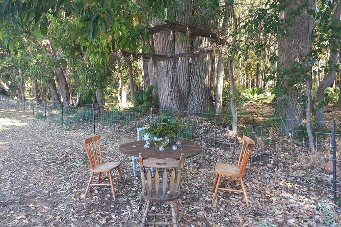 Overnight Private Yurt Getaway in Australia - Why the Experience Offers Good Value