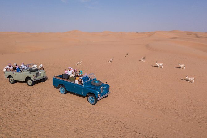Overnight Safari and Sunrise Hot-Air Balloon Ride - Starting the Adventure: Pickup and Arrival