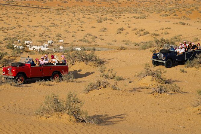 Overnight Safari and Sunrise Hot-Air Balloon Ride - Return to Dubai