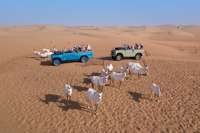 Overnight Safari and Sunrise Hot-Air Balloon Ride - How the Experience Holds Up