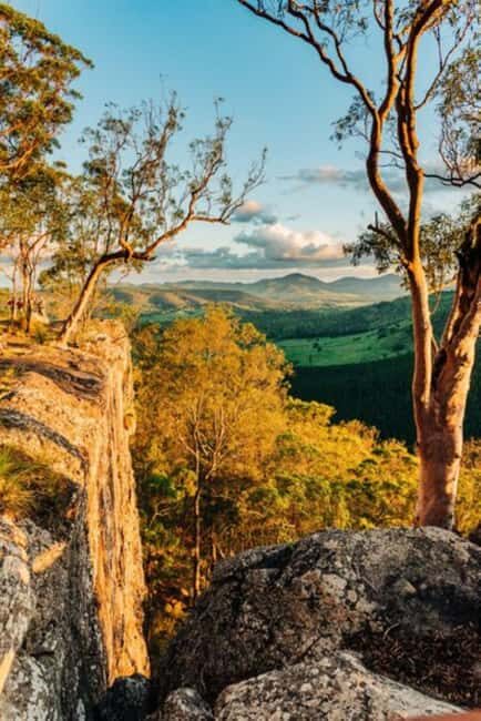 Overnight Safari to Aberdare National park from Nairobi - Who Should Consider This Safari?