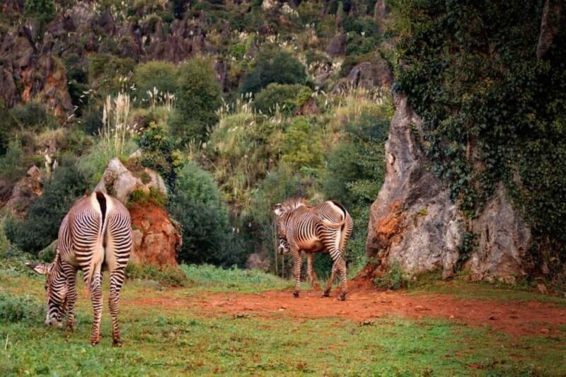 Overnight Safari to Aberdare National park from Nairobi - FAQ