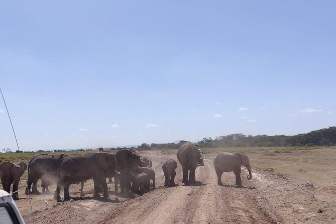 Overnight Safari to Amboseli National Park - The Itinerary: What to Expect on Your 2-Day Adventure