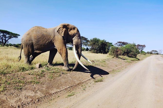 Overnight Safari to Amboseli National Park - Frequently Asked Questions