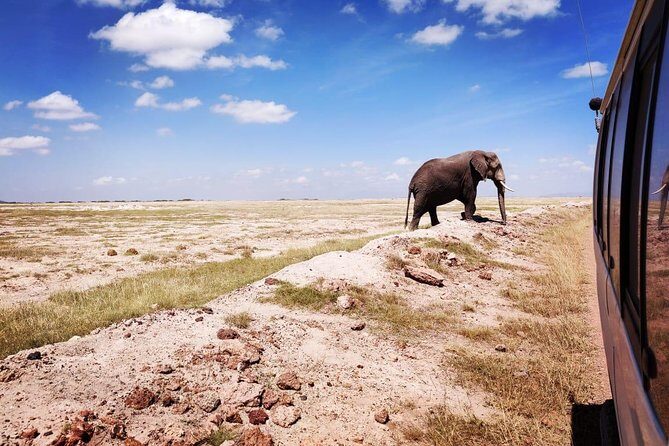 Overnight Safari to Amboseli National Park - Final Thoughts