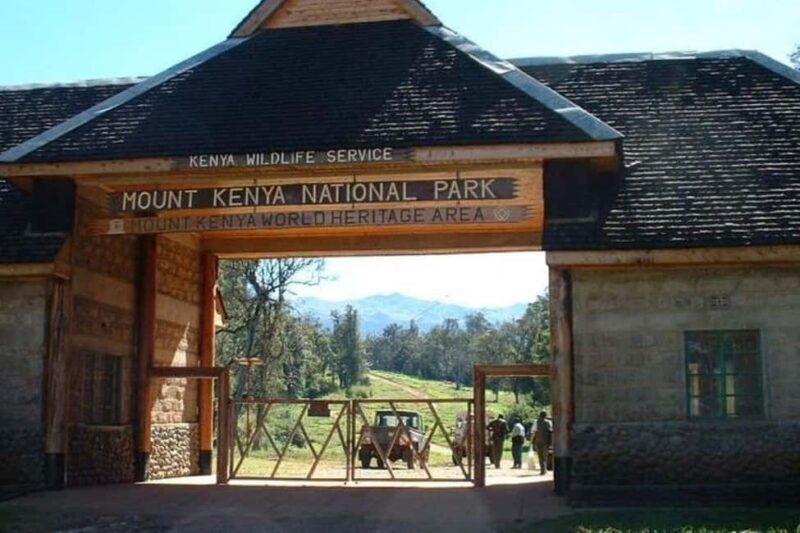 OVERNIGHT SAFARI TO MOUNT KENYA - Who Should Consider This Tour?