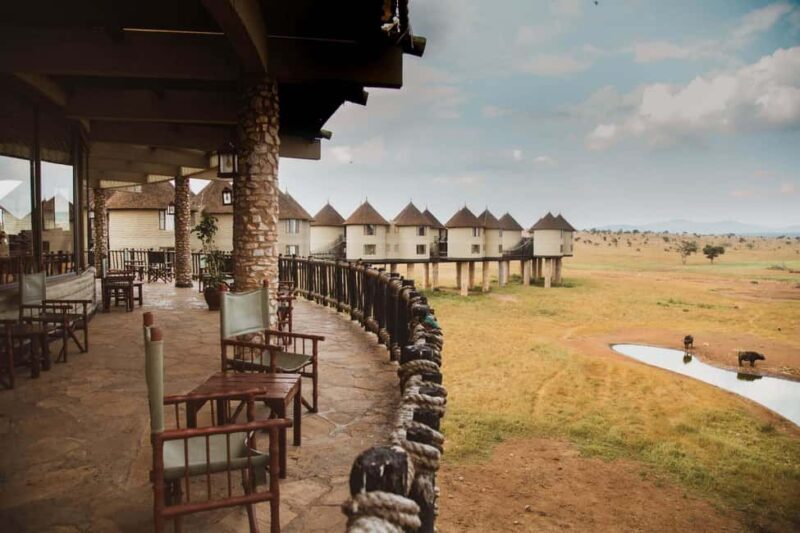 Overnight Safari To Saltlick Lodge from Mombasa or Diani - An Introduction to the Safari Experience
