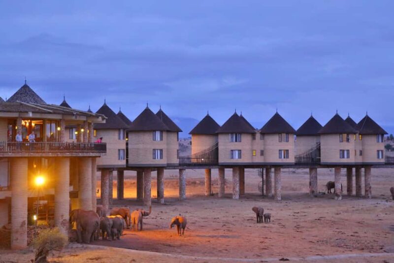 Overnight Safari to Saltlick Safari Lodge from Mombasa/Diani - Discovering the Saltlick Safari Lodge