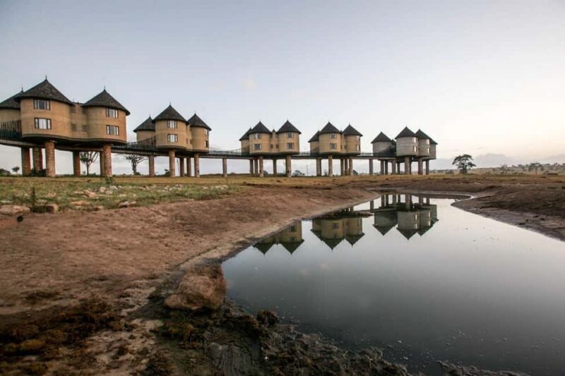 Overnight Safari to Saltlick Safari Lodge from Mombasa/Diani - Who Should Consider This Tour?