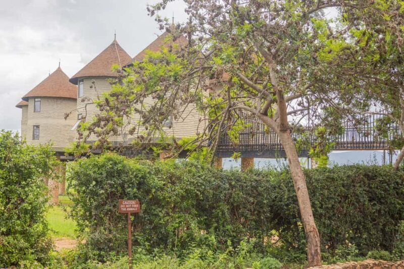 Overnight Safari to Saltlick through Tsavo East Park - The Value for Money
