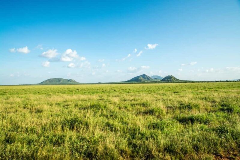 Overnight safari to Tsavo East from Mombasa - Key Points