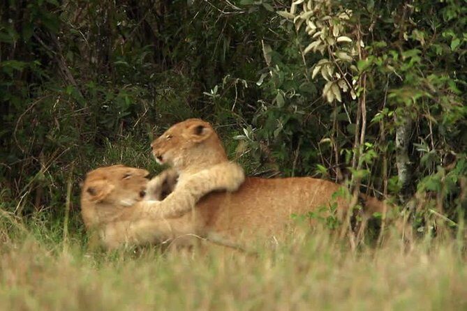 Overnight Safari to Tsavo East National Park from Mombasa/Diani - The Sum Up