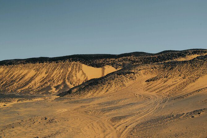Overnight Safari Trip To Bahariya & White Desert - The Reviews: Authentic Voices