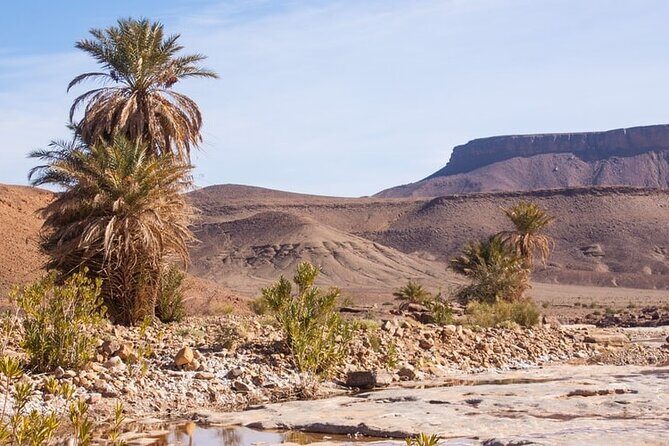 Overnight Sahara Tour from Marrakech to Mhamid - The Itinerary: A Day-by-Day Breakdown
