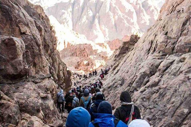 overnight st Catherine monastery , Moses mountain climbing form Cairo - Transport and Guides