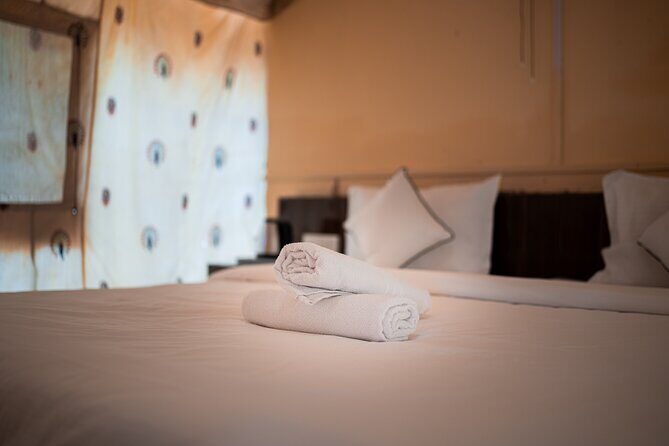 Overnight Stay in a luxury Camp with a cultural show & dinner. - Why This Tour Offers Good Value