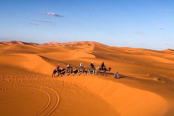 Overnight stay in desert camp & Camel trekking in the Sahara - Authentic Experiences and Traveler Perspectives