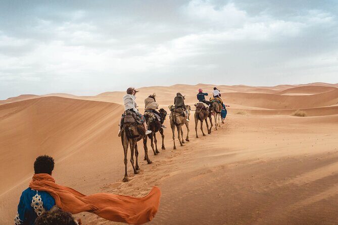 Overnight Tour From Fes to Sahara Desert - Who Is This Tour Best for?