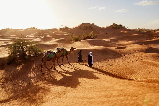 Overnight Tour From Fes to Sahara Desert - The Sum Up