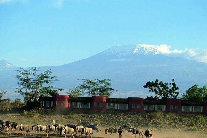 Overnight Tour in Amboseli National Park from Nairobi - Introduction