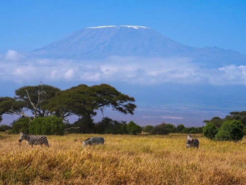 Overnight Tour to Amboseli National park from Nairobi - Key Points