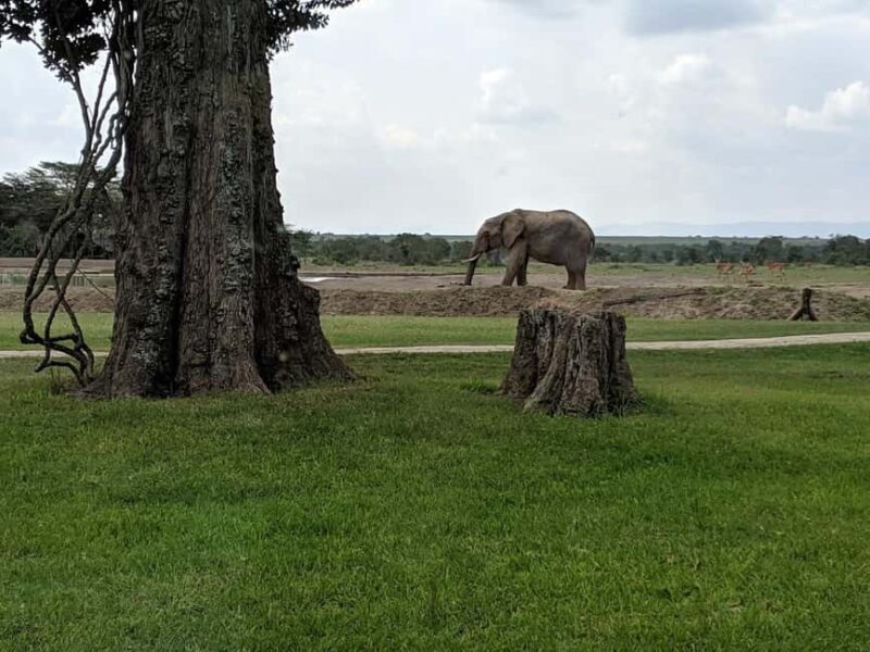 Overnight tour to Mount Kenya and Olpejeta Conservancy - FAQ