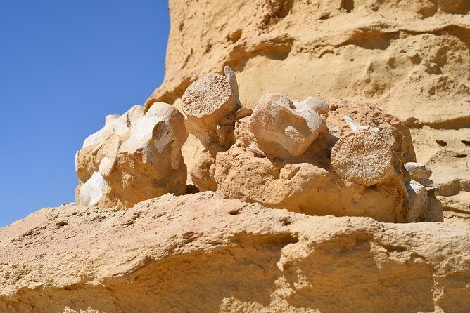 Overnight Trip to Fayyom Oasis, Wadi El-Hitan & Wadi El-Rayyan - Exploring Wadi El-Rayan and Its Natural Wonders
