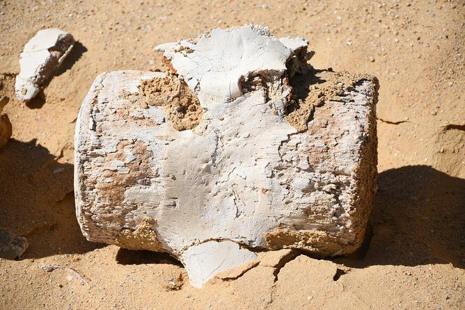 Overnight Trip to Fayyom Oasis, Wadi El-Hitan & Wadi El-Rayyan - FAQ