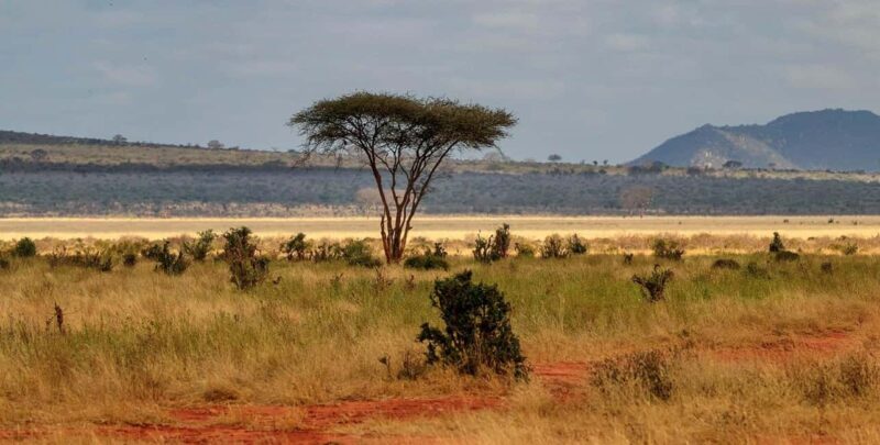 Overnight Tsavo East Safari From Mombasa/Diani (Private) - Analyzing the Experience: What You Can Expect