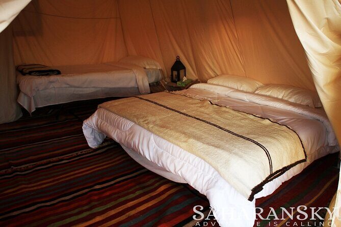 Overnight Tunisia Sahara Desert Safari by 4x4 from Douz - What’s Included and What to Consider