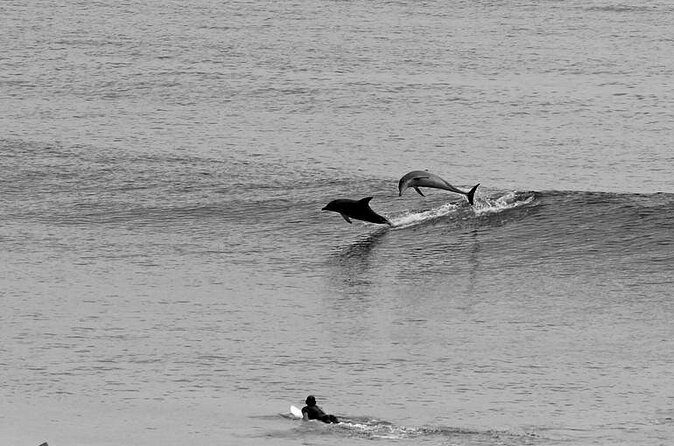 Overnight Tweed Coast Camping and Surfing Getaway From The Gold Coast - Final Thoughts: Who Should Consider This Tour?