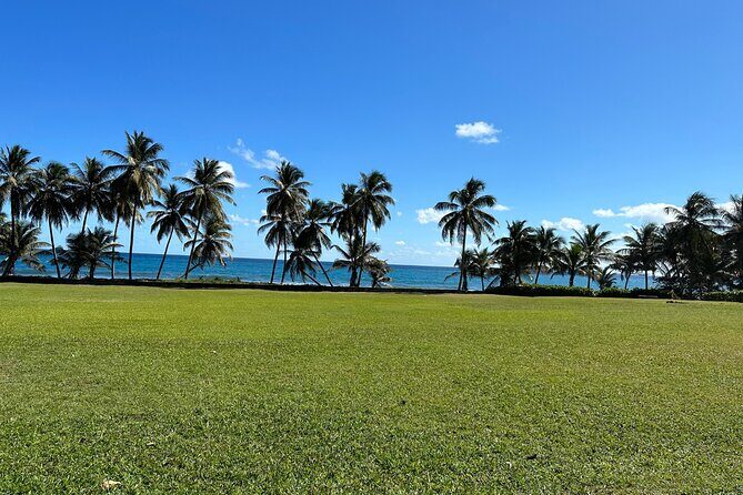 Owia Salt Pond Tour and Black Point Tunnel with Topdawg Taxi and Tours - Who This Tour Is Best For