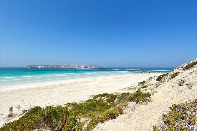Oyster Adventure in Coffin Bay (Coffin Bay Pick Up) - Who Should Consider This Tour?