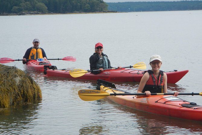 Oyster Farm & Complimentary Tasting Sea Kayak Tour in Casco Bay - Value and Practicalities
