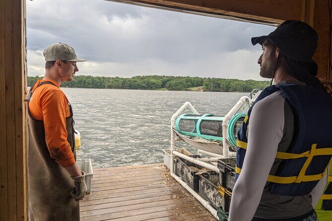 Oyster Tasting and Kayak Tour - The Sum Up