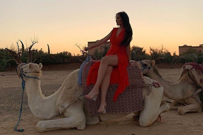 Pack Camel ride 1 Hour and Quad biking 2 Hours in Marrakech - Key Points