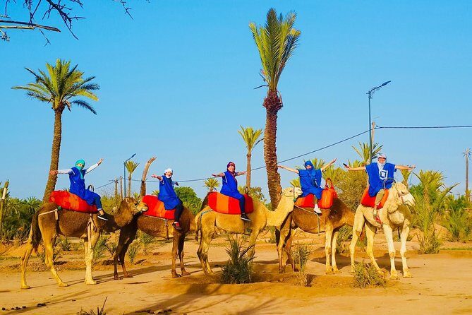 Pack Camel ride 1 Hour and Quad biking 2 Hours in Marrakech - Detailed Review of the Marrakech Camel and Quad Tour