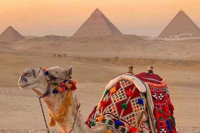 Package 4 Day: Cairo Short Break Cairo Pyramids - Steigenberger -Hotel - Final Thoughts: Is This Tour Right for You?