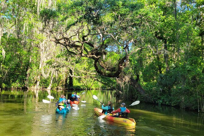Paddle and Brew Adventure in Tavares with Beer Flight Tasting - Why This Tour Works