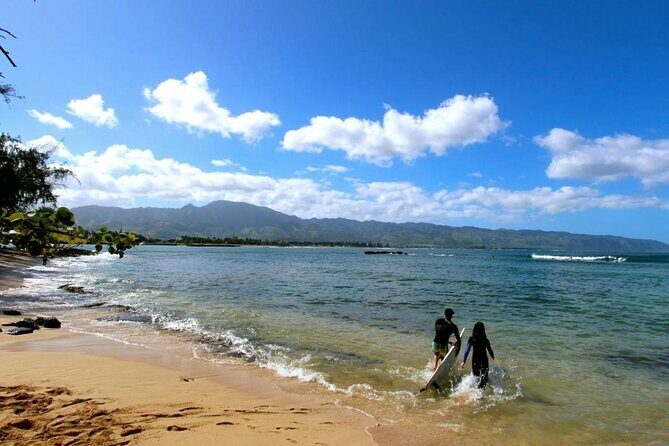 Paddle Board Hale'iwa with Rescue Dogs - Starting Point and Meeting Details