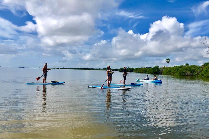 Paddle Board or Kayak Eco Dolphin Manatee Tour - Who Should Book This Tour?