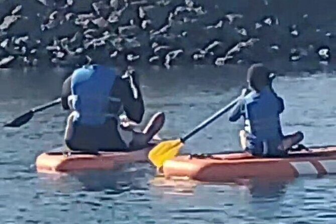 Paddle Board Picnics Lessons Rentals and Outdoor Adventures - An Inside Look at the Paddle Board Experience in Atlanta